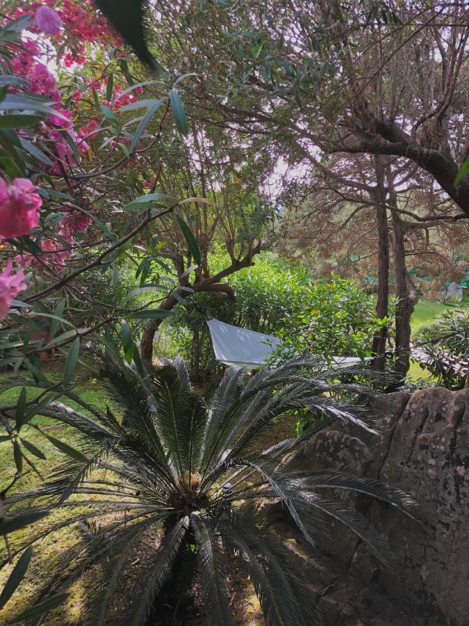 Villa 4 Porto Rotondo Kültér fotó